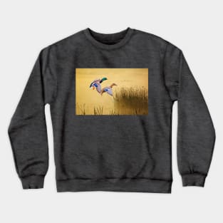 Male and Female Mallard Ducks Crewneck Sweatshirt